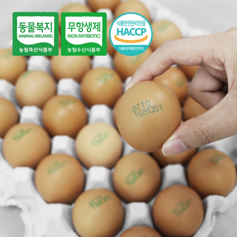 [더디오] 유정란 무항생제 계란 난각번호1번 (30구/60구)