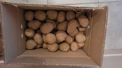 [농식품바우처] (베리굿스) 24년산 선별 발송 햇 감자 (3kg/5kg, 대/특/왕특)