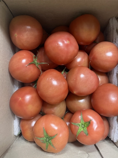 [농식품바우처] (오병이어) 곱게 완숙된 전라도 토마토 3kg/5kg