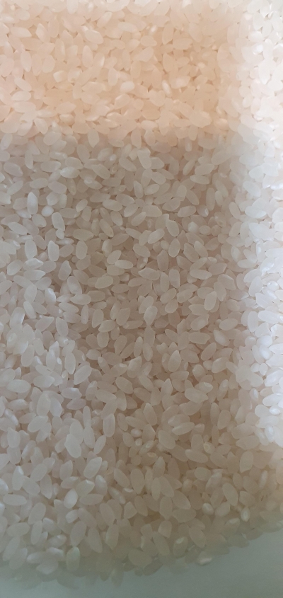 (미풍) 고슬고슬 신동진쌀 10kg