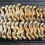 (상원장어랜드) HACCP인증 국내산 민물장어 자포니카 초벌구이장어 1kg 2-3마리(550g 내외)