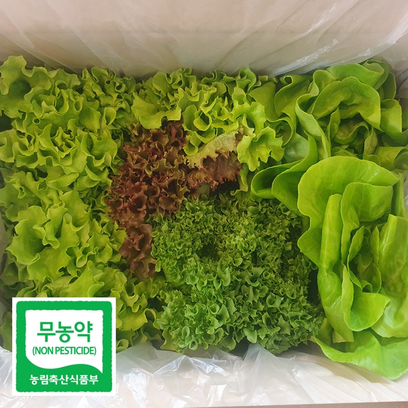 (그린스마일) 무농약 유럽 샐러드 채소 모듬 쌈 야채 깨끗한 수경재배 1kg