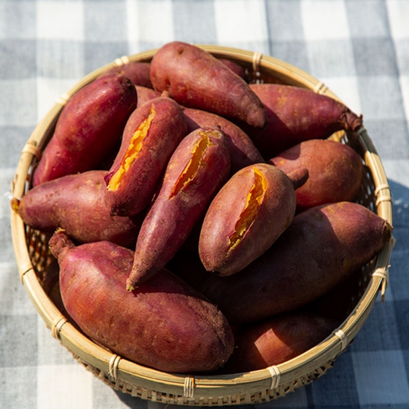 (남도사랑) 23년산 해남 세척 꿀고구마 (3kg/5kg)