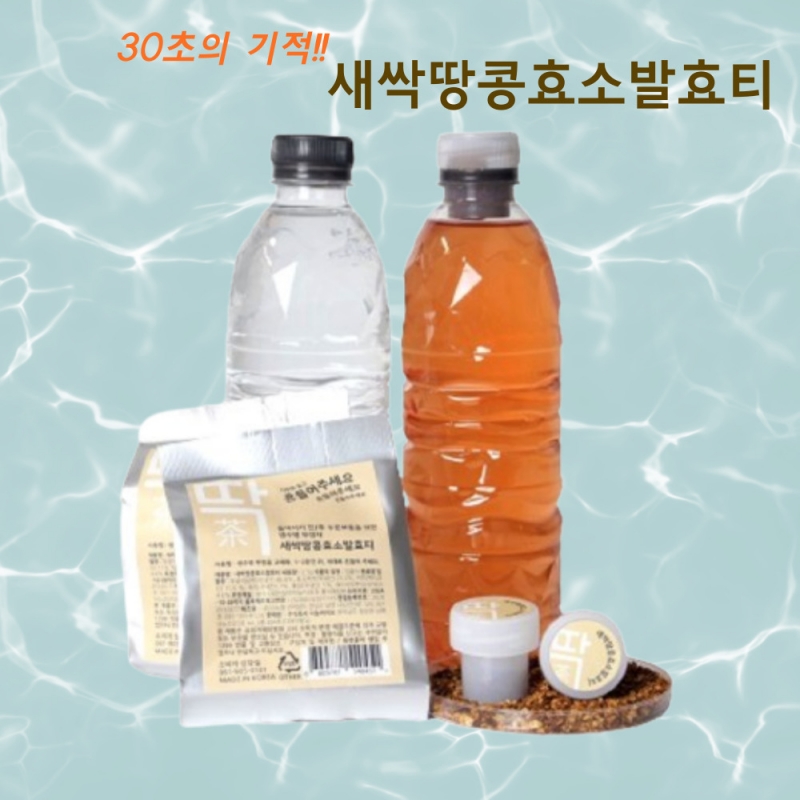 (나눔바이오) 새싹땅콩 효소발효 딱차(2.5g*1)